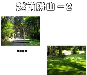 20160810_11_3